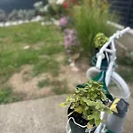 Tatil Evi Hh Lakes - Center, Free Parking! *