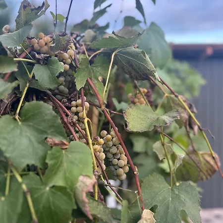 Hh Lakes - Center, Free Parking! Ferienhaus *