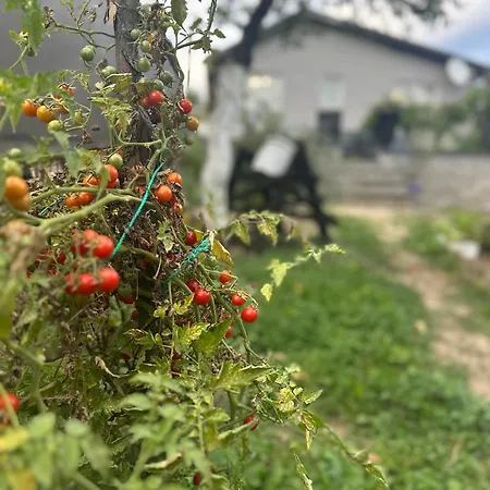 Hh Lakes - Center, Free Parking! トゥズラ